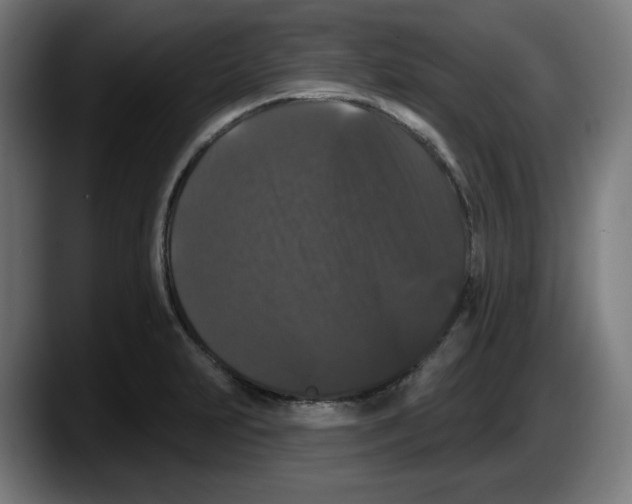 X0000087531231200705251653