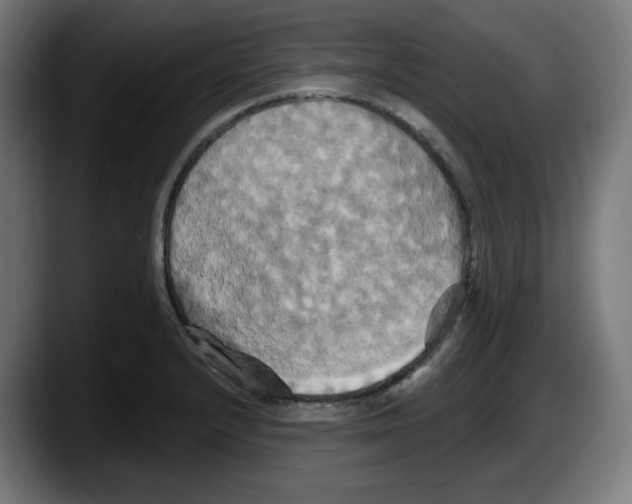 X0000087531232200705251653