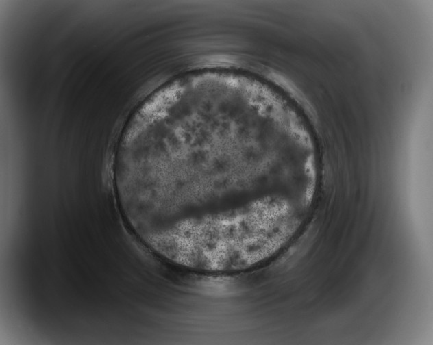 X0000087531233200705251653