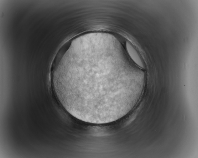 X0000087531234200705251653
