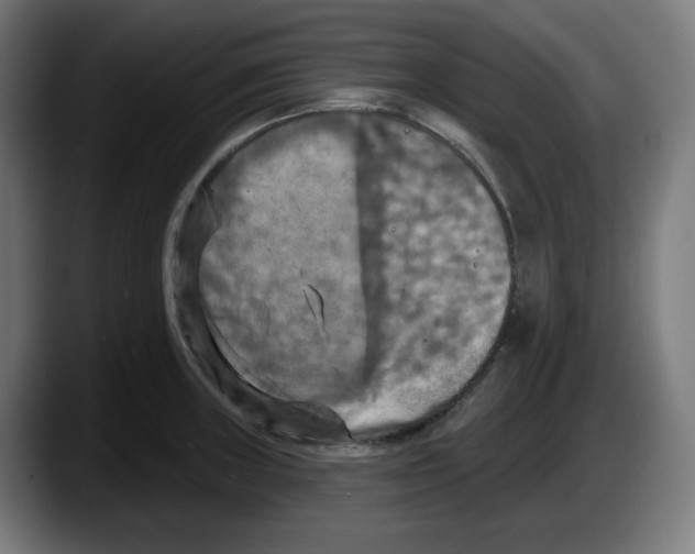 X0000087531235200705251653