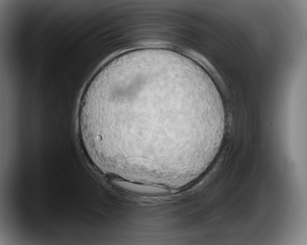 X0000087531236200705251653