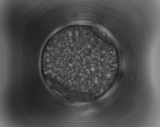 X0000087531237200705251653