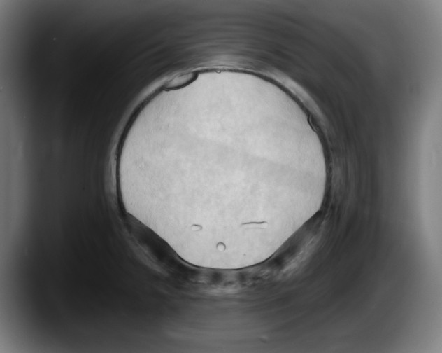 X0000087531238200705251653