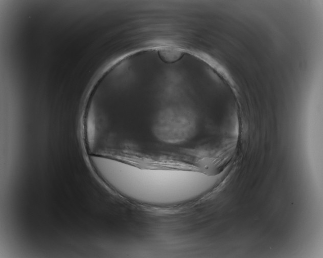 X0000087531239200705251653