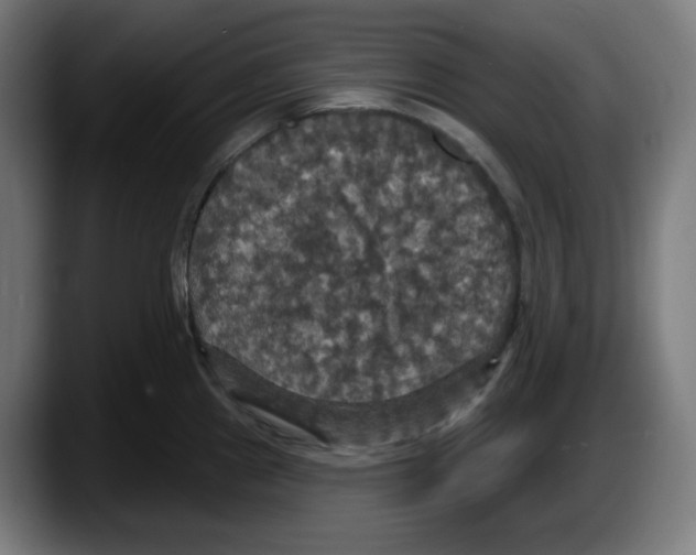X0000087531241200705251653