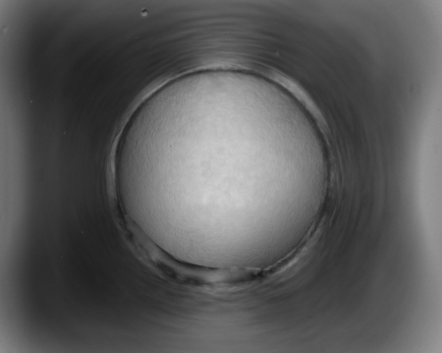 X0000087531242200705251653