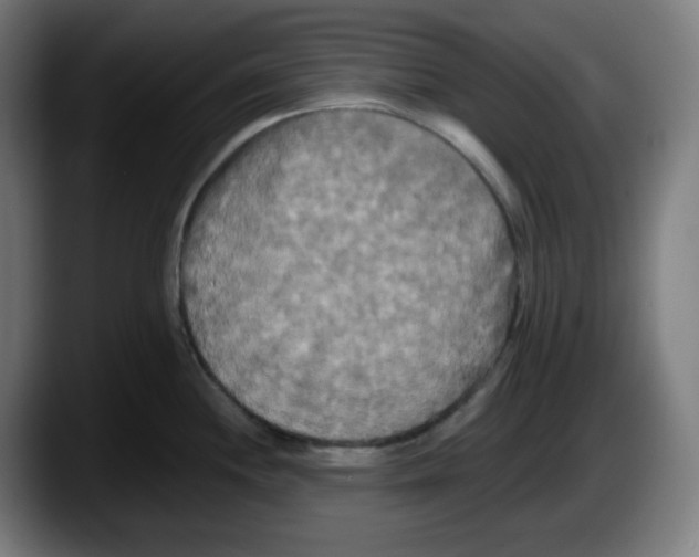 X0000087531244200705251653
