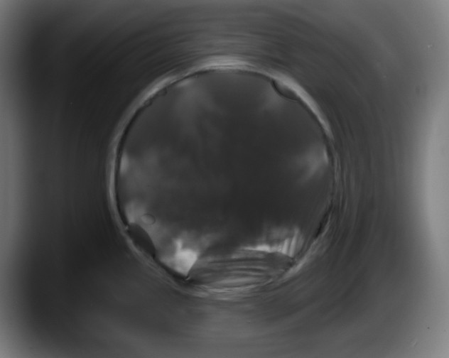 X0000087531245200705251653