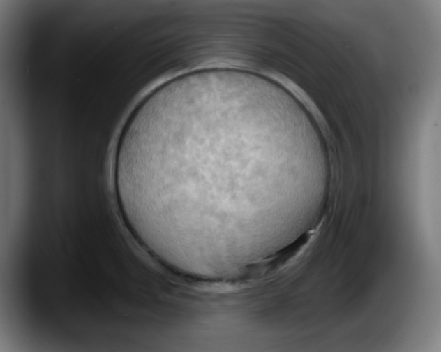 X0000087531246200705251653