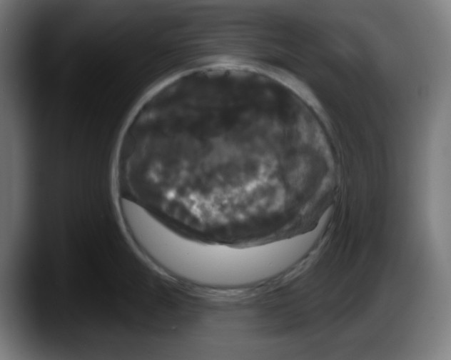 X0000087531247200705251653