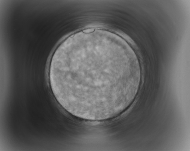 X0000087531248200705251653