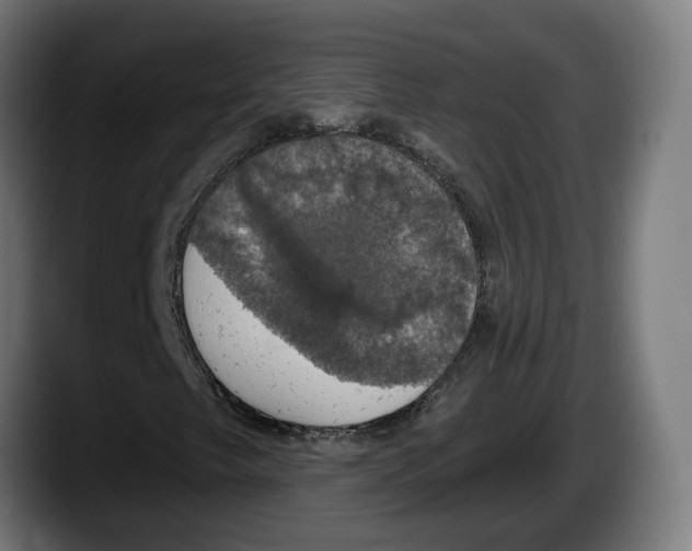 X0000087531249200705251652