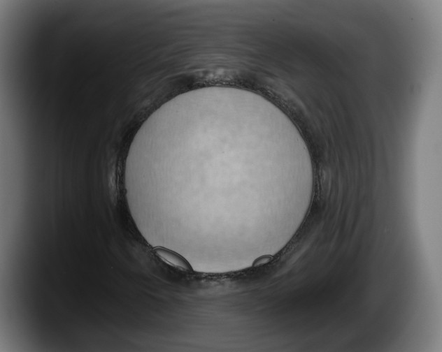 X0000087531250200705251652