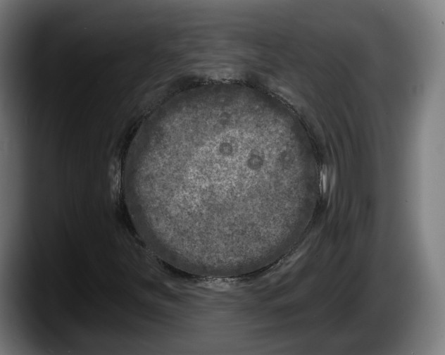 X0000087531251200705251652