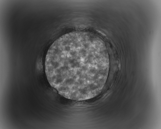X0000087531252200705251652