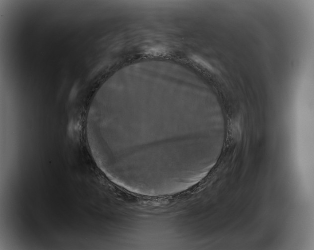 X0000087531254200705251652