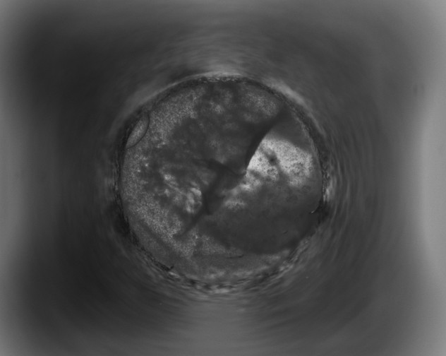 X0000087531255200705251652