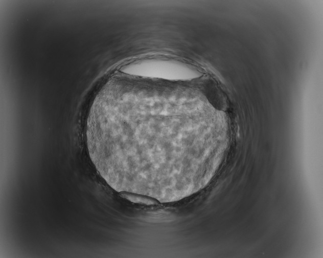 X0000087531256200705251652