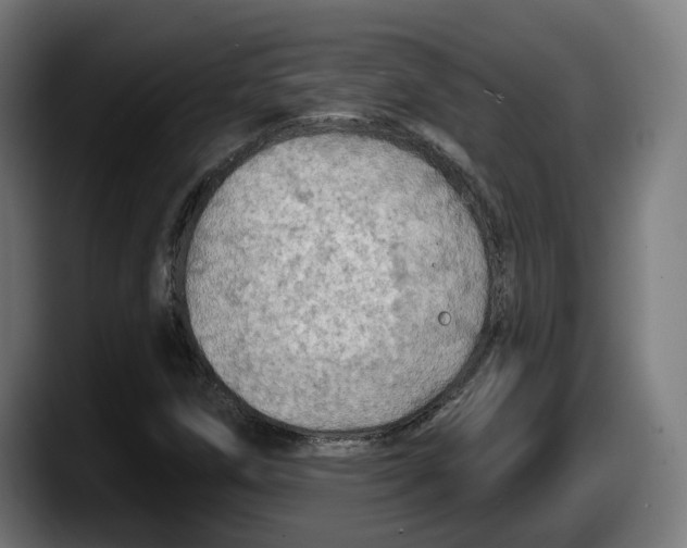 X0000087531258200705251652
