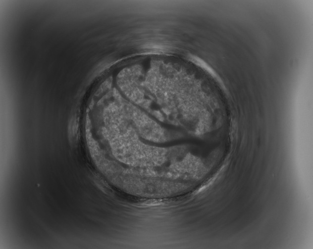 X0000087531259200705251652