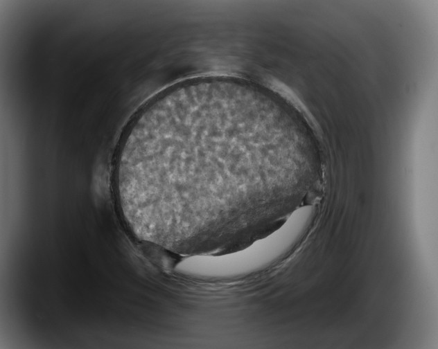X0000087531260200705251652