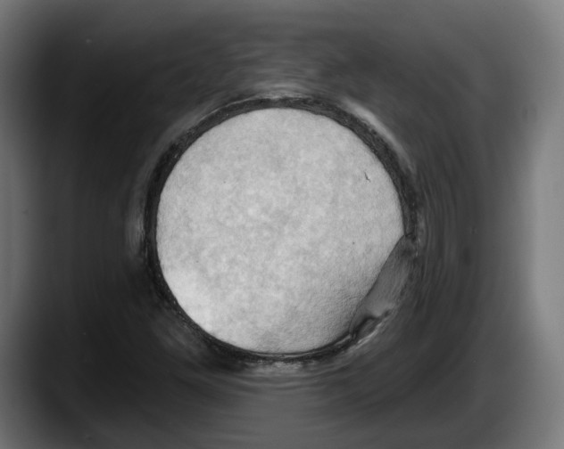 X0000087531261200705251652