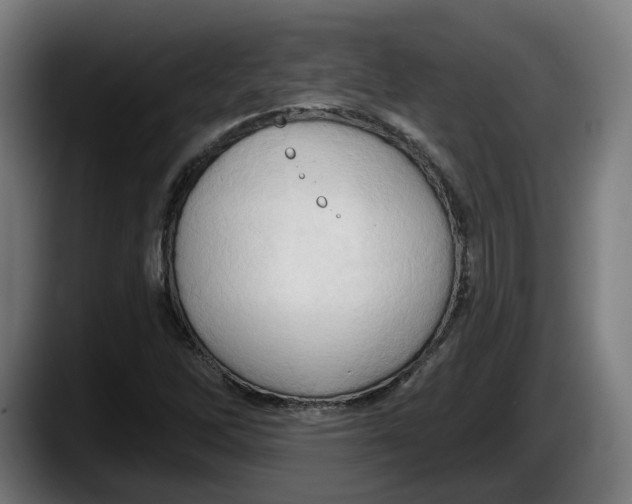 X0000087531262200705251652