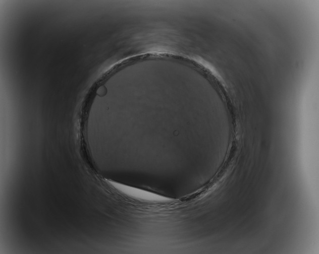 X0000087531263200705251652