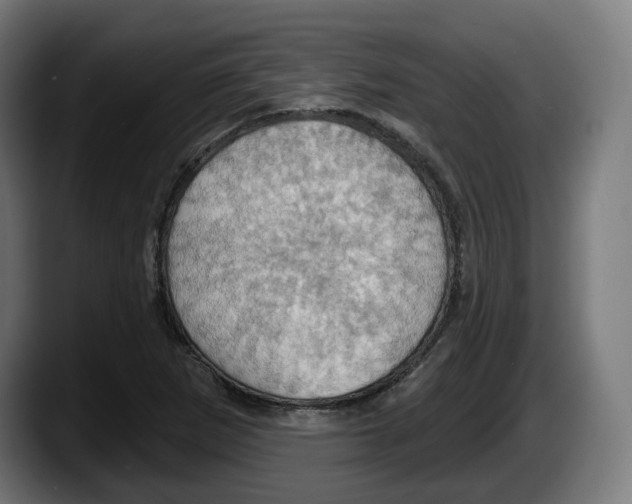 X0000087531265200705251652
