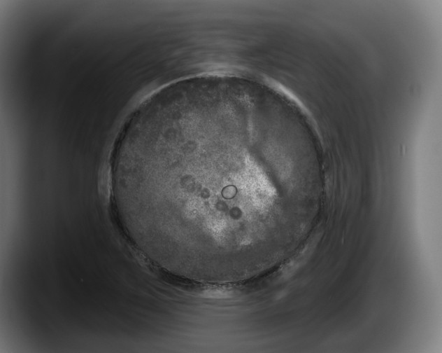 X0000087531267200705251652