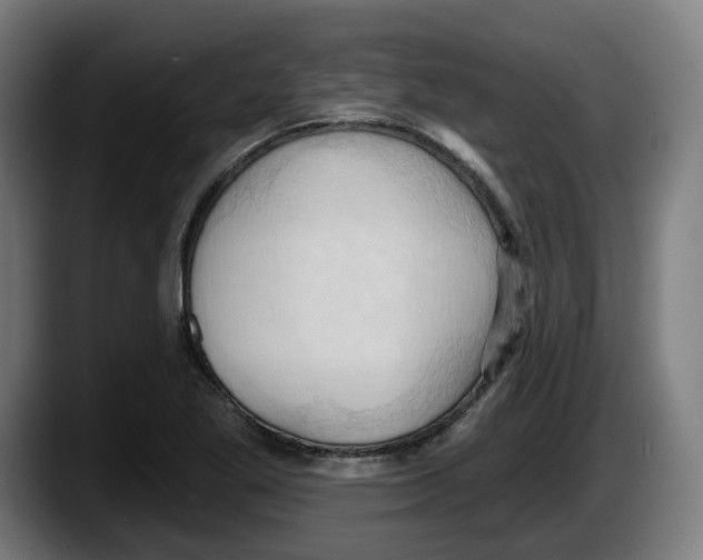 X0000087531269200705251652