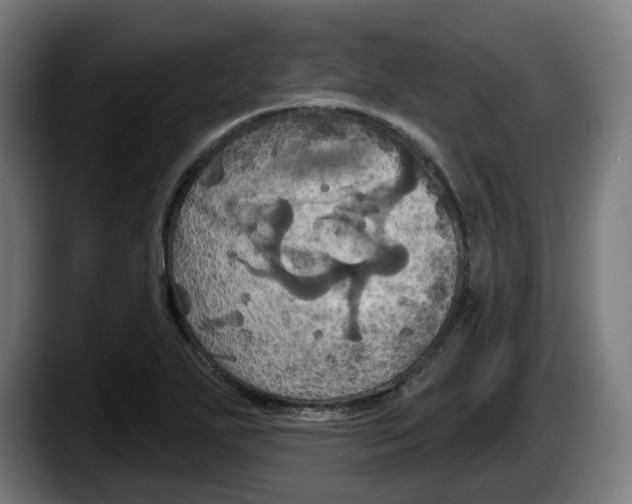 X0000087531271200705251652