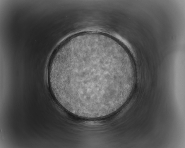 X0000087531272200705251652