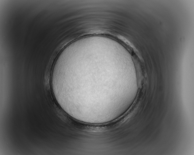 X0000087531273200705251652