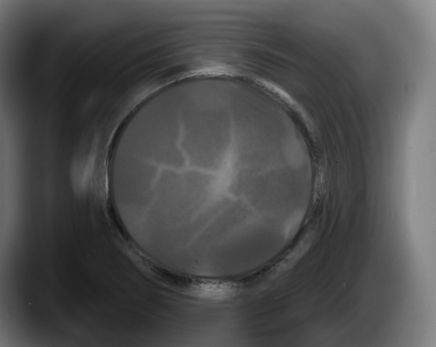 X0000087531274200705251652