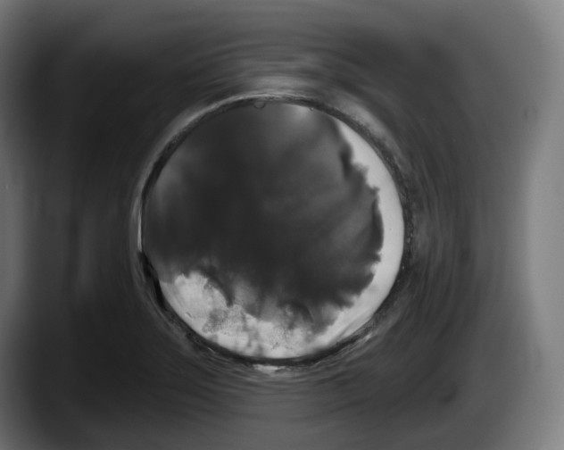 X0000087531275200705251652