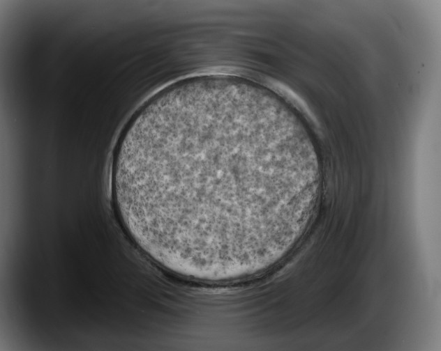 X0000087531276200705251652