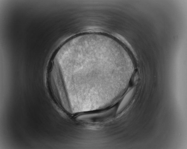X0000087531277200705251652