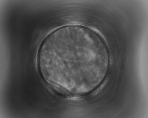 X0000087531278200705251652