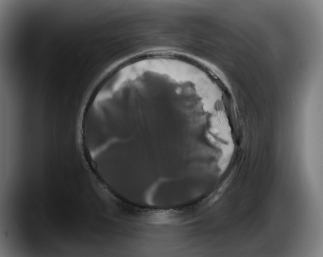 X0000087531279200705251652