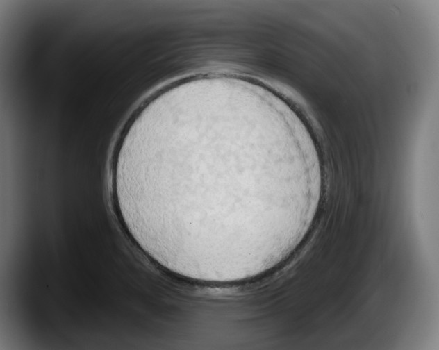 X0000087531280200705251652