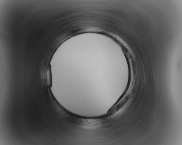 X0000087531281200705251652