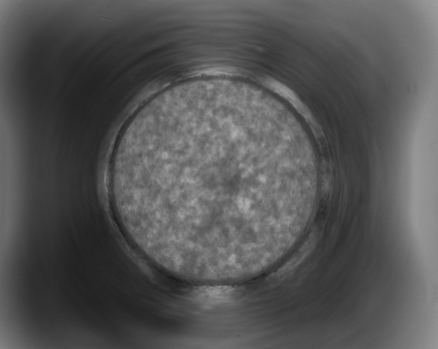 X0000087531282200705251652
