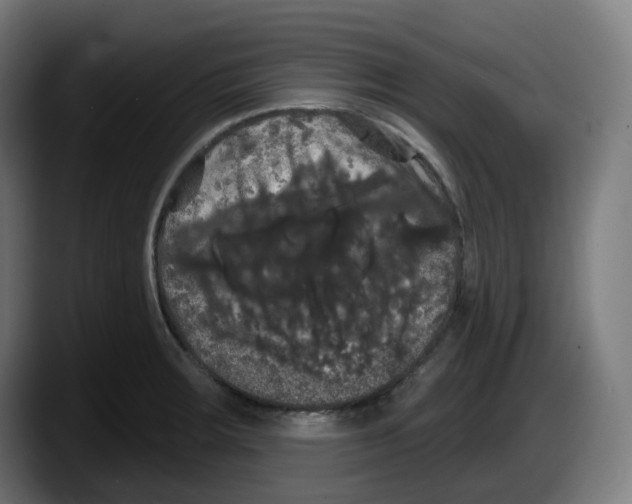 X0000087531283200705251652