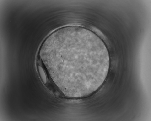 X0000087531284200705251652