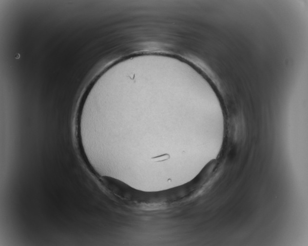 X0000087531285200705251652