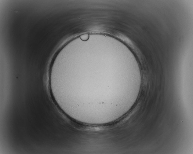 X0000087531286200705251652