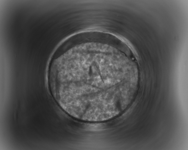 X0000087531288200705251652