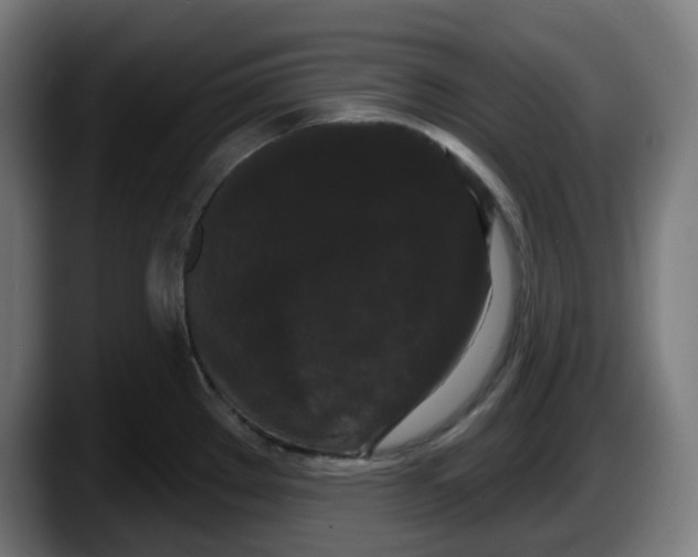 X0000087531289200705251652
